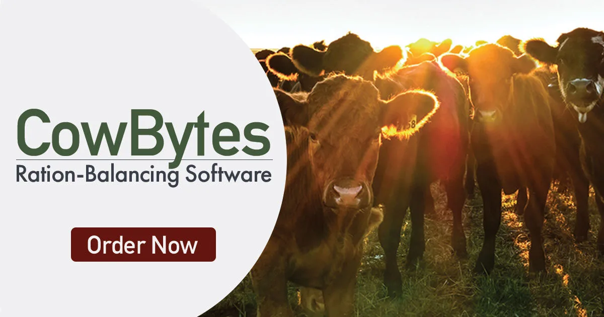 CowBytes